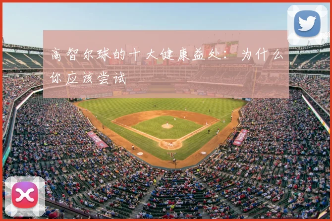 高智尔球的十大健康益处：为什么你应该尝试