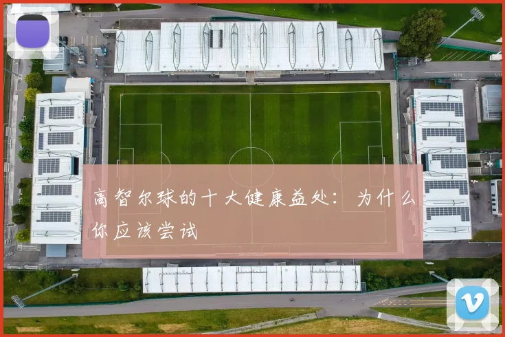 高智尔球的十大健康益处：为什么你应该尝试